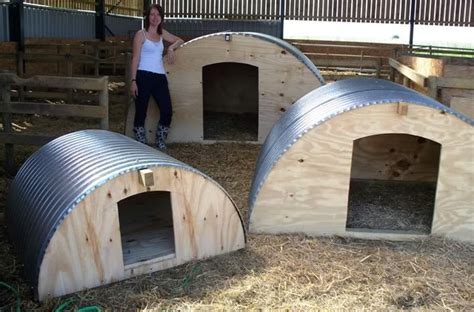 metal pig house|pig housing designs.